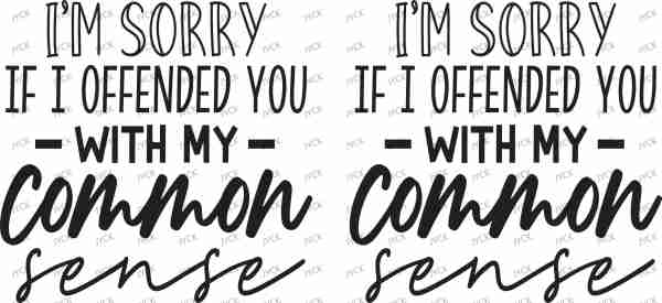 Y3097